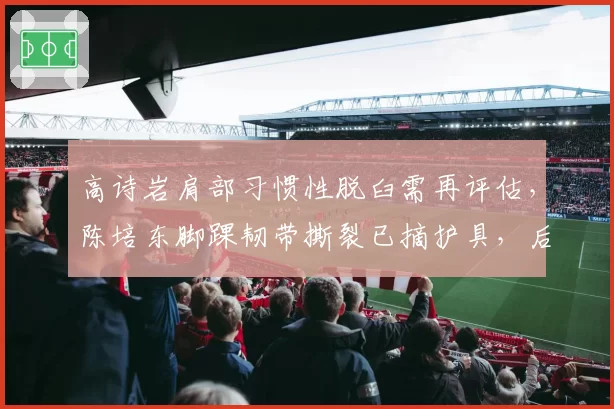 高诗岩肩部习惯性脱臼需再评估，陈培东脚踝韧带撕裂已摘护具，后卫线伤情分化