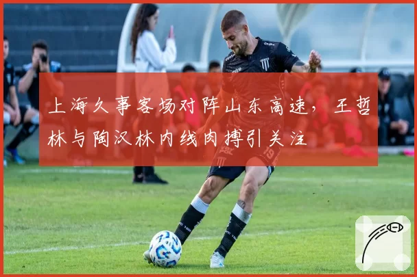上海久事客场对阵山东高速,王哲林与陶汉林内线肉搏引关注