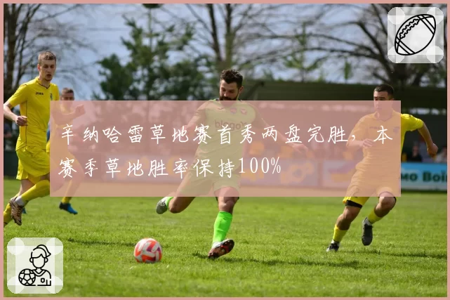 辛纳哈雷草地赛首秀两盘完胜,本赛季草地胜率保持100%