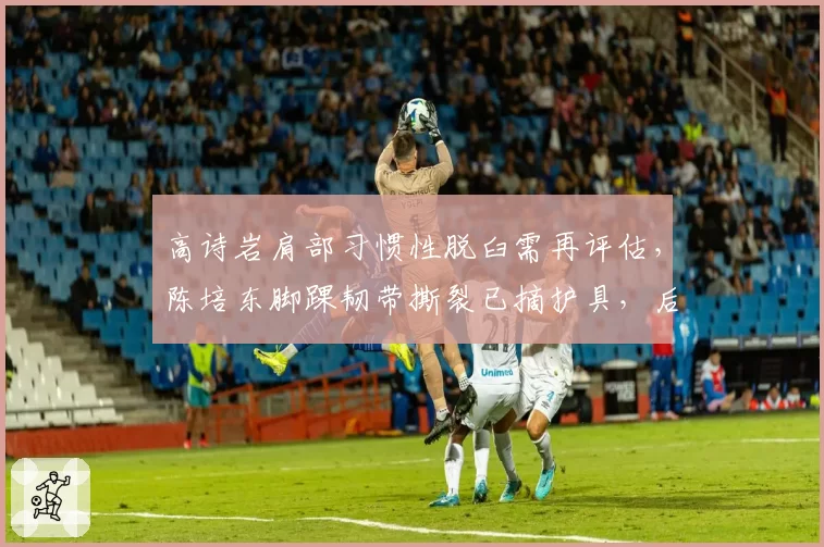 高诗岩肩部习惯性脱臼需再评估，陈培东脚踝韧带撕裂已摘护具，后卫线伤情分化