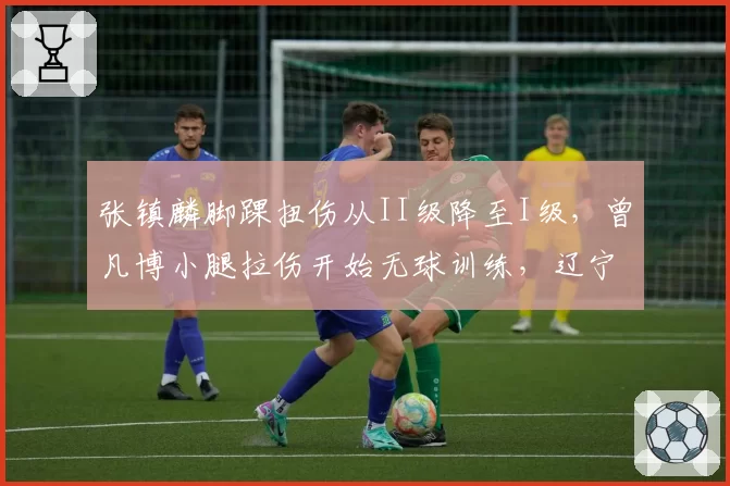 张镇麟脚踝扭伤从II级降至I级，曾凡博小腿拉伤开始无球训练，辽宁北京锋线新星复出时间差多少？