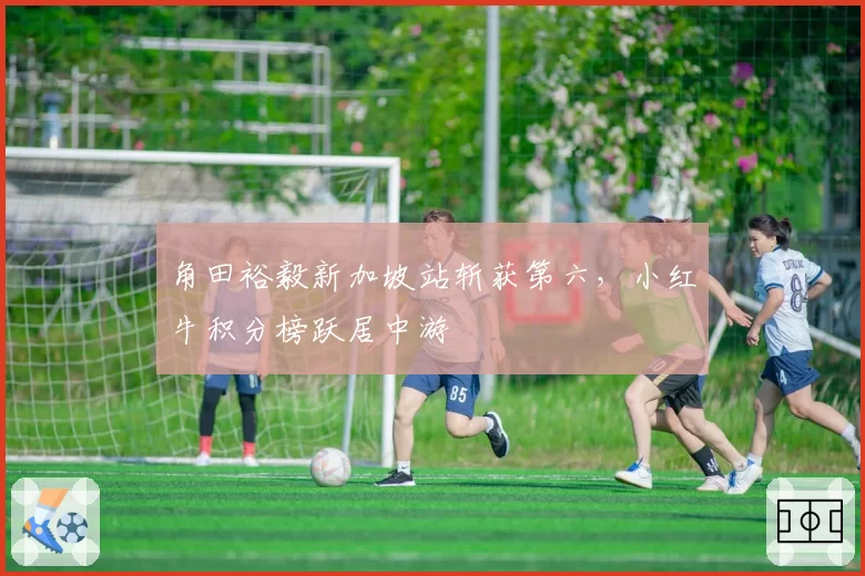角田裕毅新加坡站斩获第六，小红牛积分榜跃居中游