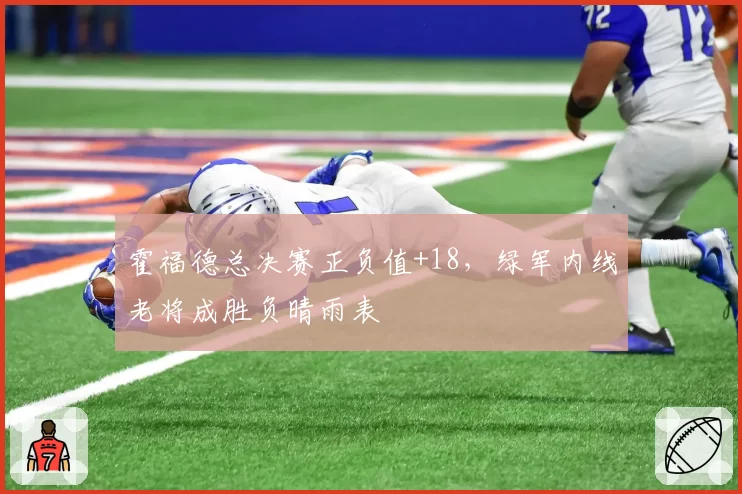 霍福德总决赛正负值+18，绿军内线老将成胜负晴雨表