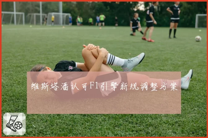 维斯塔潘认可F1引擎新规调整方案